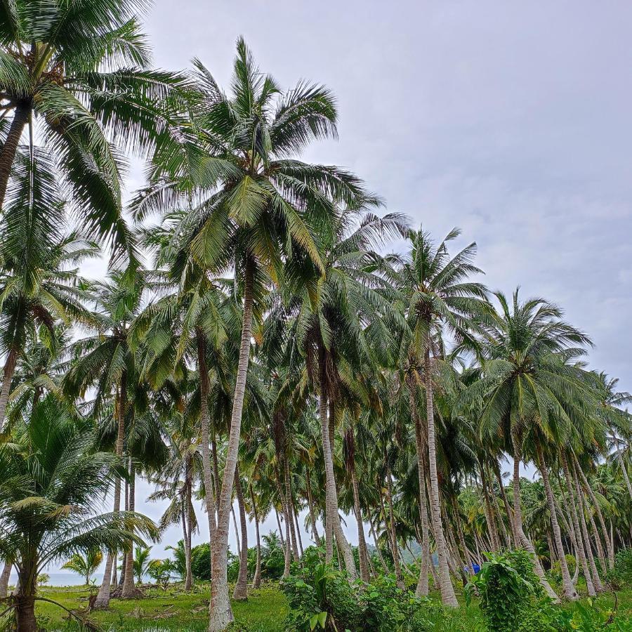 Honey Moon Beach Resort ANDAMAN AND NICOBAR ISLANDS Екстер'єр фото